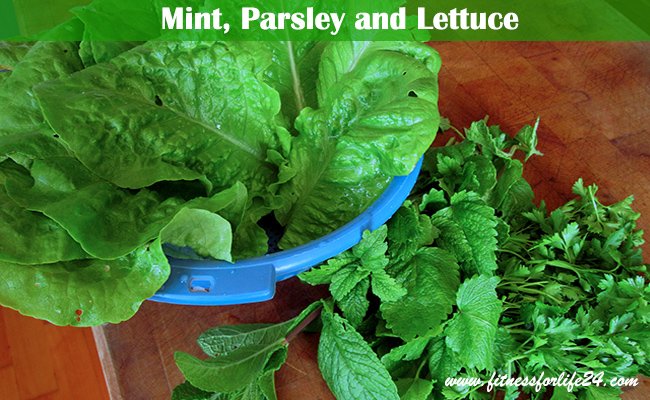 lettuce-mint-parsley