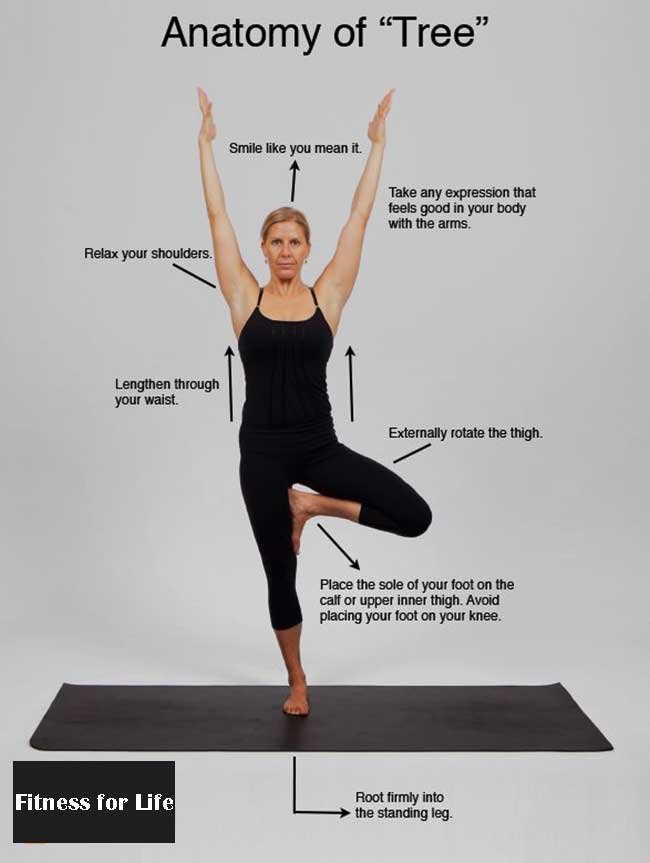 exercise quotes yoga are Health Benefits What Pose Tree : Vrikshasana the of