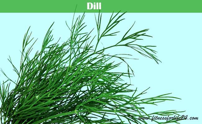 dill