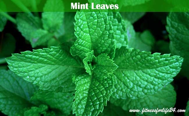 mint leaves