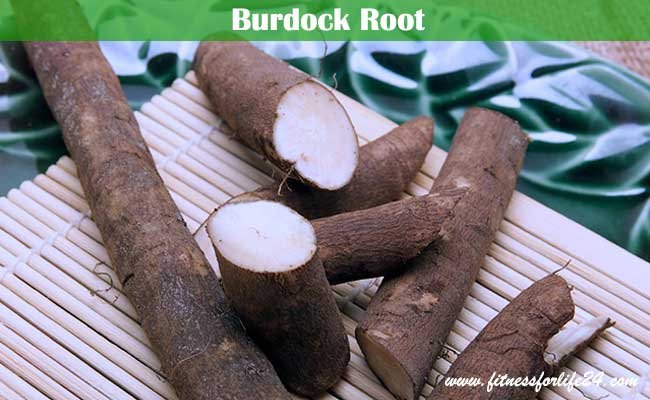 Burdock Root