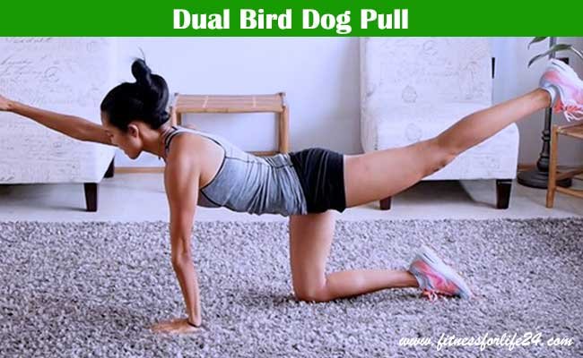 Dual Bird Dog Pull