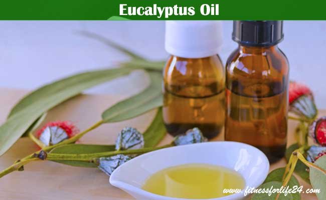 Eucalyptus Oil