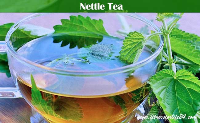 Nettle Tea