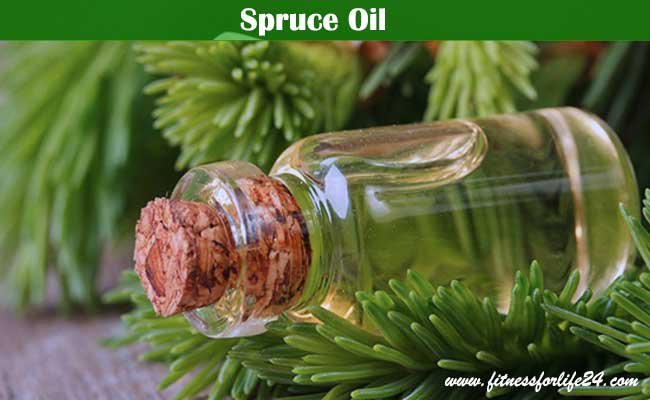 Spruce Oil