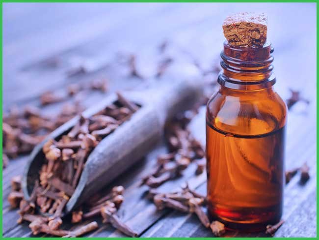 Clove Oil