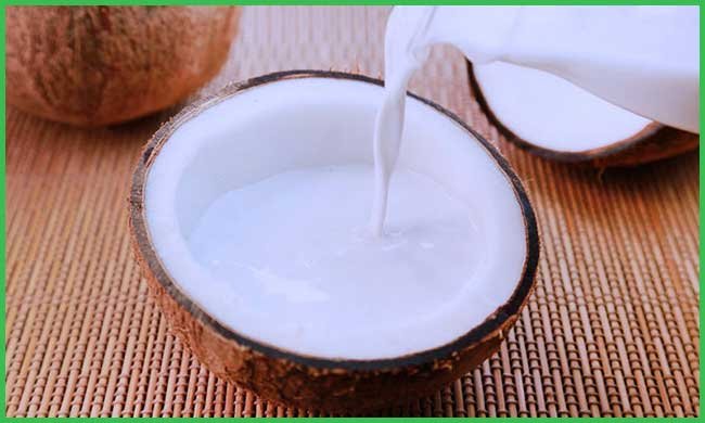 Coconut Milk Benefits