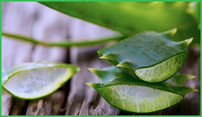 aloe vera for acne