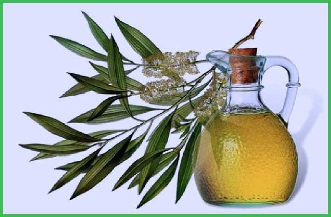 tea tree oil for acne