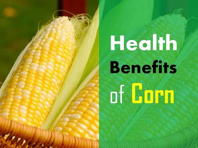 Health Benefits Of Corn This Grain Can Control 14 Diseases