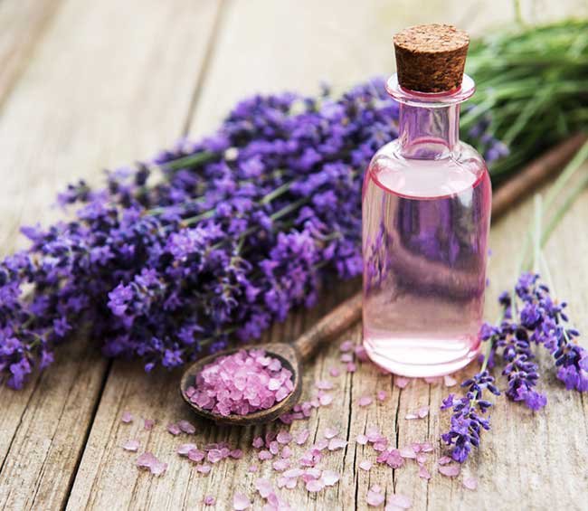 Lavender Oil