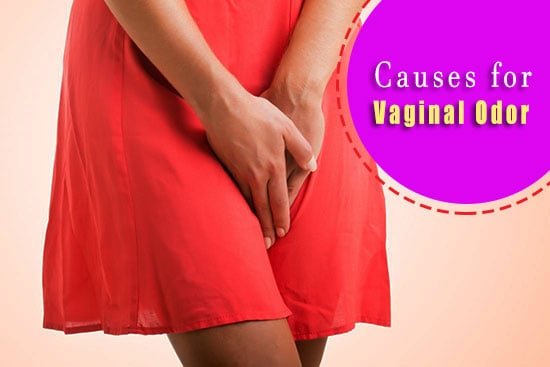 Causes for Vaginal Odor