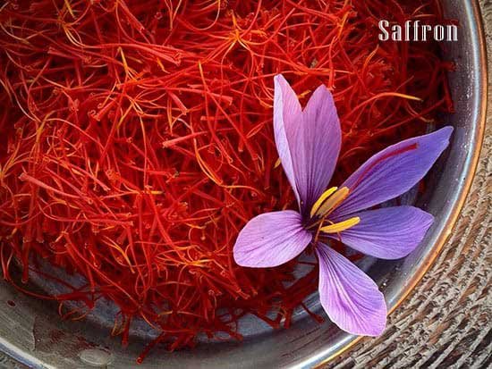 Saffron for depression and anxiety